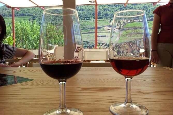 Complete Douro Valley Wine Tour with Lunch, Wine Tastings and River Cruise - National Road 222: A Scenic Drive Even If You’re Not Chasing Photos
