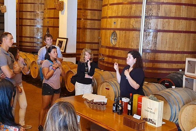 Complete Douro Valley Wine Tour with Lunch, Wine Tastings and River Cruise - What You’ll Taste: Wines, Port, and How to Drink Without Regretting It