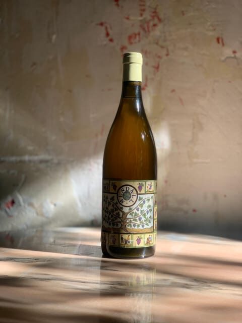 Córdoba: Discover the Soul of Spanish Natural Wine & Cuisine - Why this natural wine tasting feels different