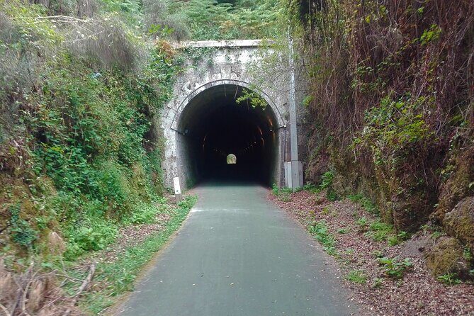 Cycling Ecopista do Dão One Way, full-day from Coimbra - Lunch time: when the ride turns into a local food stop (and what to expect)