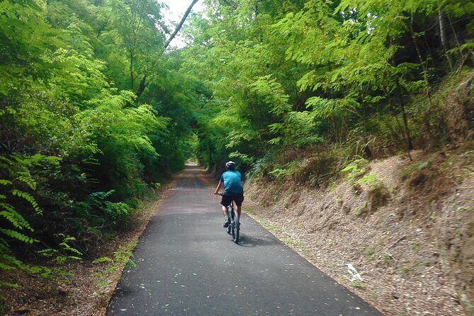 Cycling Ecopista do Dão One Way, full-day from Coimbra - Santa Comba Dão finish: wrap-up that doesn’t drain the day