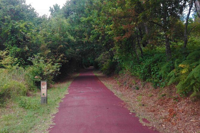 Cycling Ecopista do Dão One Way, full-day from Coimbra - Price and value: what $143.91 buys you in real terms