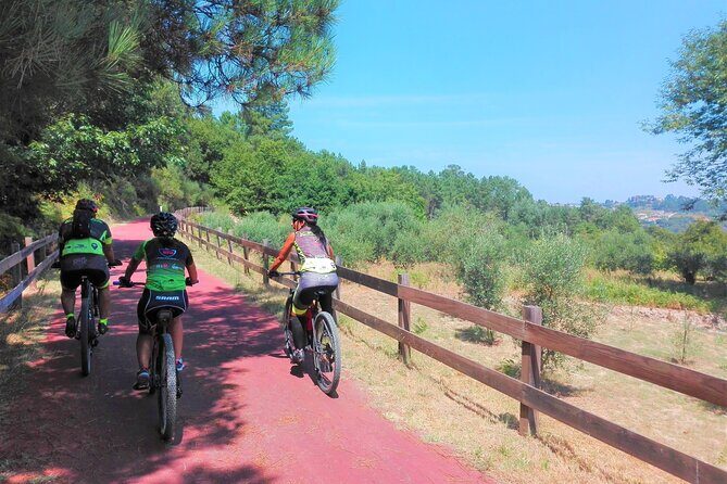 Cycling Ecopista do Dão One Way, full-day from Coimbra - The part you came for: cycling Ecopista do Dão with a guided 8-person rhythm