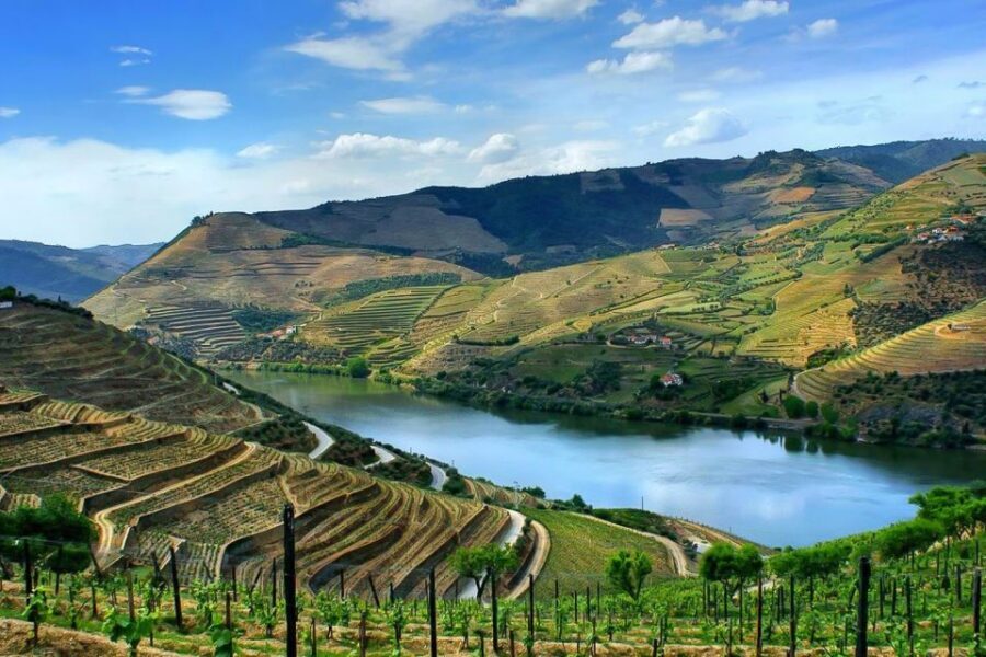 Day Cruise from Porto to Pinhão with Breakfast and Lunch - The Cruise Route: Locks, Dams, and Panoramic Views You Can Feel