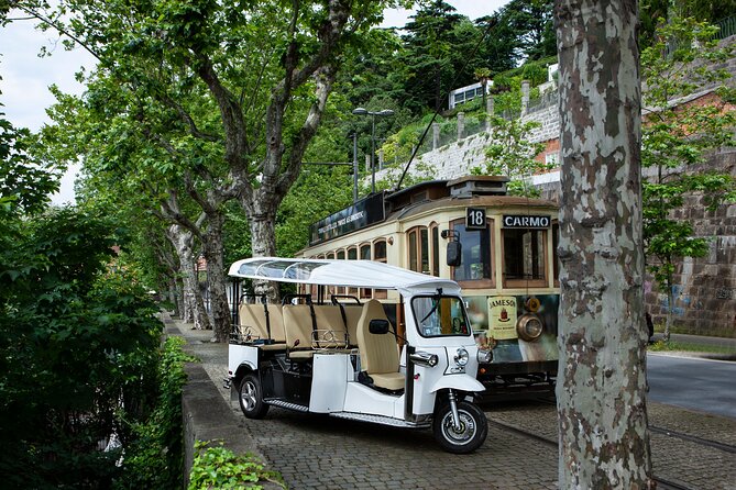 Discover Porto's Highlights on a 2-Hour Private Electric Tuk Tuk - Porto’s hills vs. your legs: why this format works