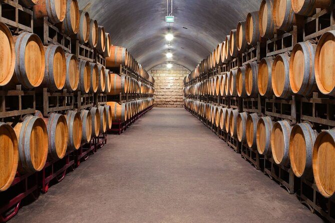 Discover the Charm of Porto with a Picturesque Private Journey - Burmester Caves and Porto Wine: A Guided Taste of the City