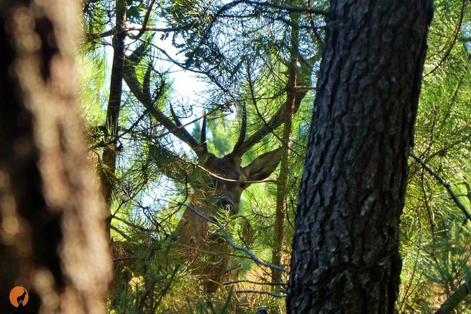 Discovering Nature in Serra da Lousã - Serra da Lousã in one half-day: what the day feels like