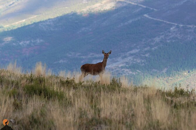 Discovering Nature in Serra da Lousã - Price and value: is $83.88 a fair deal?