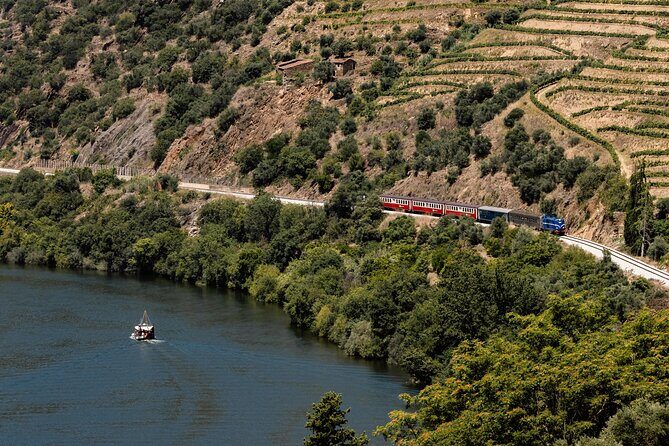 Douro Experience - Boat and Train Ride - Lunch and Wine Tasting - All Included - Porto to Pinhão: the feel of this Douro day trip