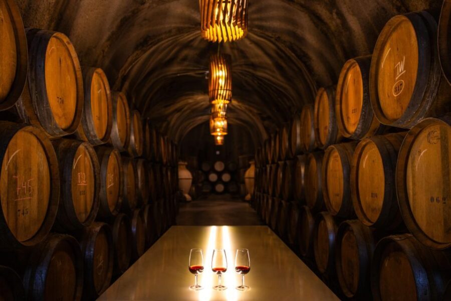 Douro Luxury - Private Cruise Premium Winery and Restaurant - Who this tour suits best (and who might want a different pace)