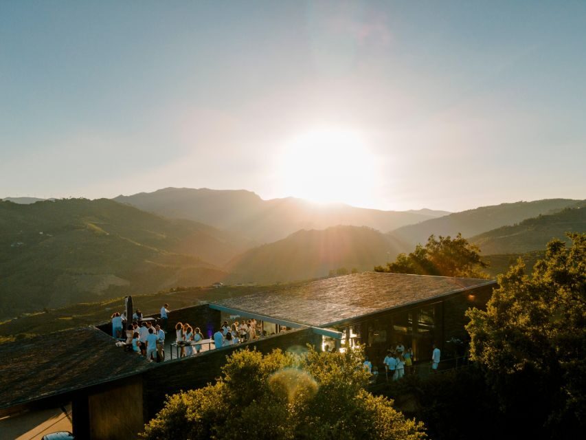Douro Luxury - Private Cruise Premium Winery and Restaurant - Premium quinta wine tasting: Port and Douro DOC in 1.5 hours