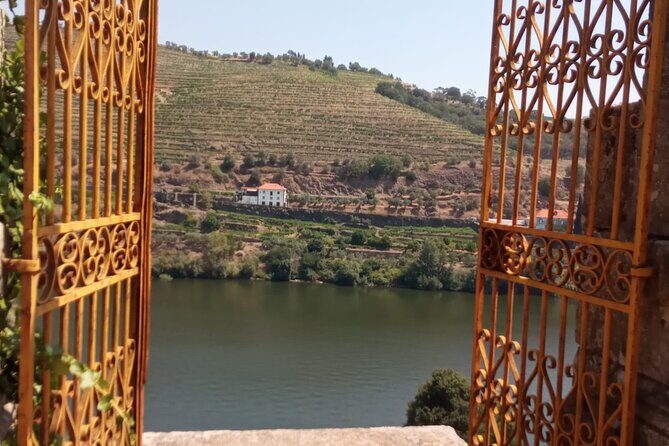 Douro: luxury walking tour with lunch at Quinta da Pacheca - Guided cellar visit: what you learn under the old stone