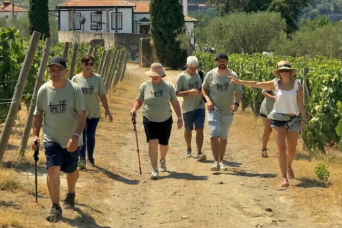 Douro: luxury walking tour with lunch at Quinta da Pacheca - Ana guiding style: private-tour attention in English