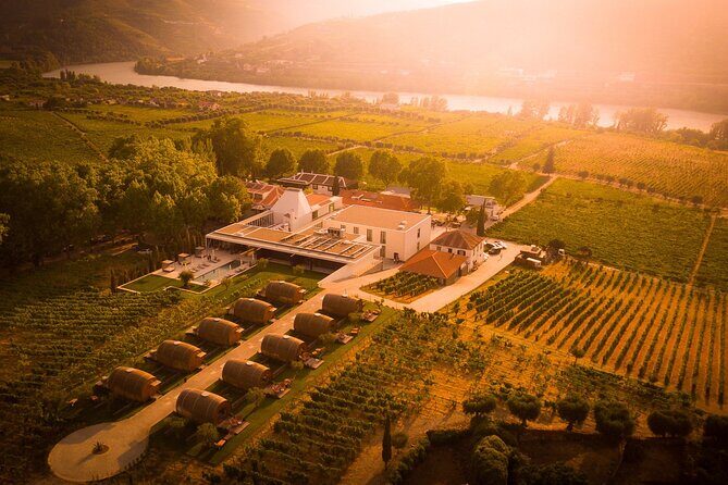 Douro: luxury walking tour with lunch at Quinta da Pacheca - Price and value of $301.03: what’s included and why it matters