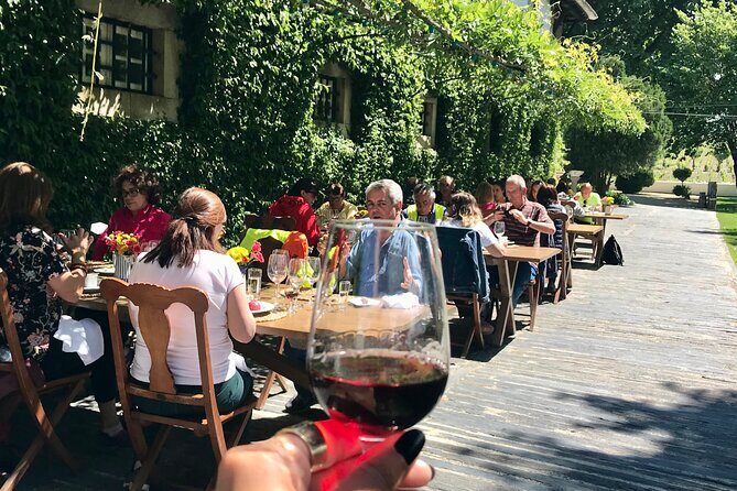 Douro: luxury walking tour with lunch at Quinta da Pacheca - A two-hour walk over Douro River views (expect some hills)