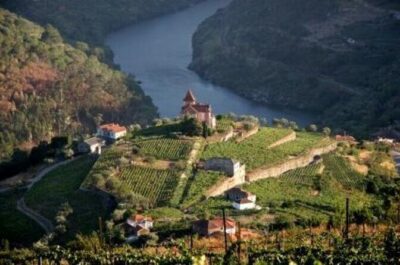 DOURO PREMIUM - Where You’ll Start: Pickups from Porto, Gaia, or Vila Real