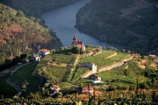 Douro Premium - Key highlights that make this Douro trip worth it