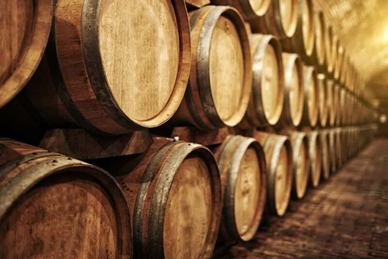 Douro Private Signature Tour – Customizable Experience - Lunch Options That Match Your Style: Rustic or Gourmet Wine-Paired