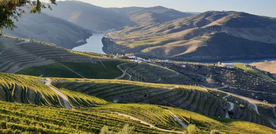 Douro Private Signature Tour – Customizable Experience - Family Package for Kids: Museum + Juice Blind Tasting