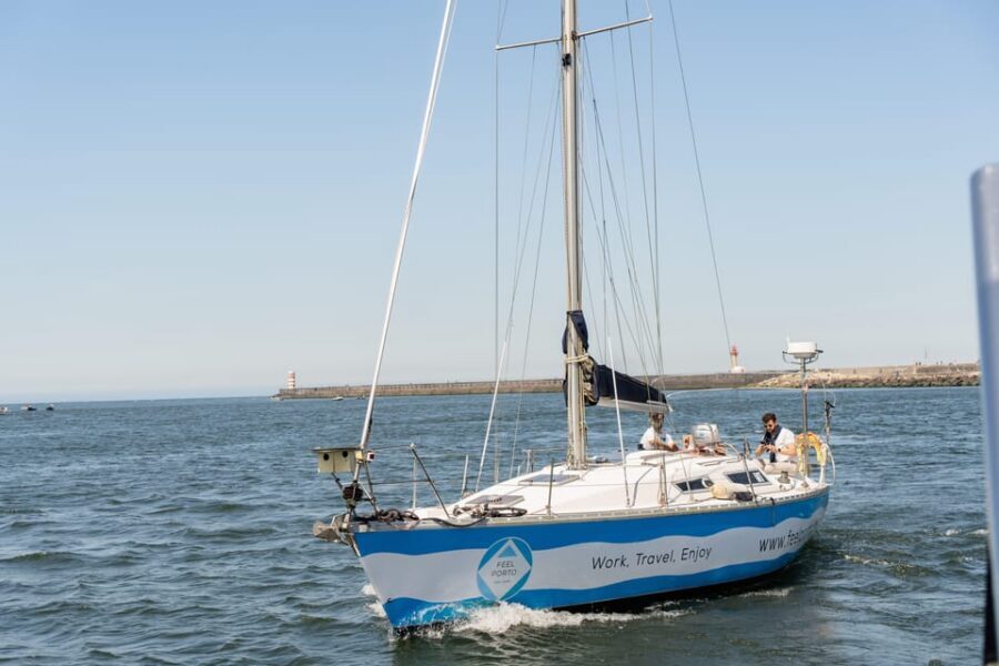 Douro River Cruise with Cheese & Tonic Porto in a Sailboat - Arrábida Bridge to Luís I Bridge: the commentary you’ll remember