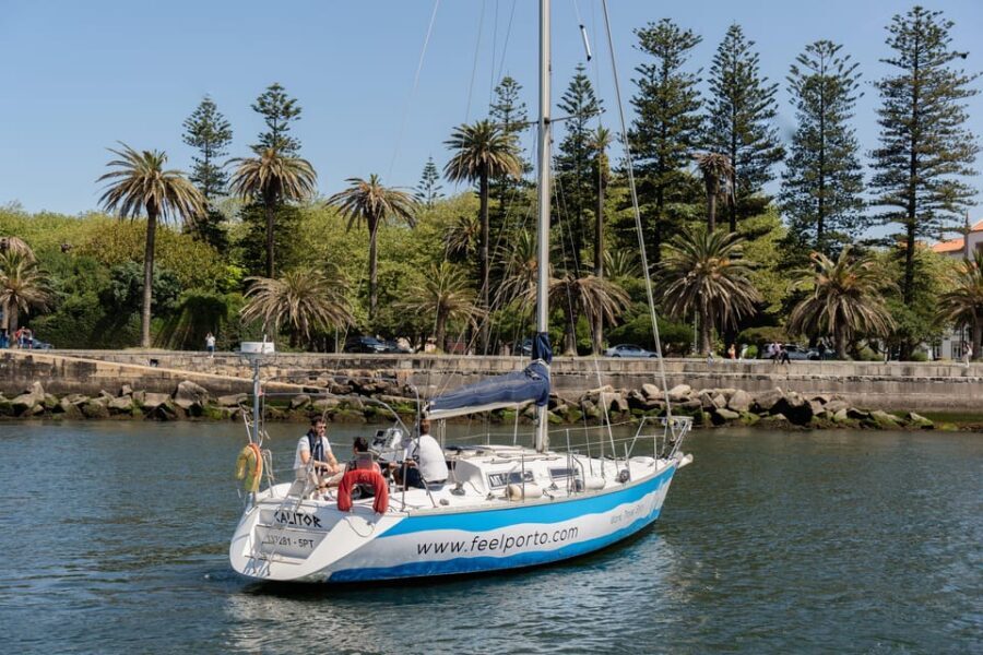 Douro River Cruise with Cheese & Tonic Porto in a Sailboat - Port Tonic tasting + cheeses and snacks: the value move
