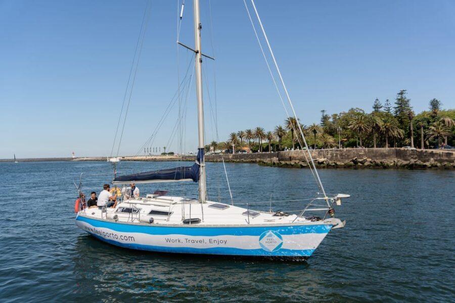 Douro River Cruise with Cheese & Tonic Porto in a Sailboat - Sunset on the Douro: your best mood option