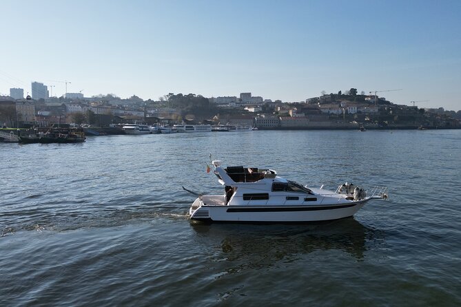 Douro River Tour - Under the Bridges: D. Luís I, Arrábida, Maria Pia, and the Rest