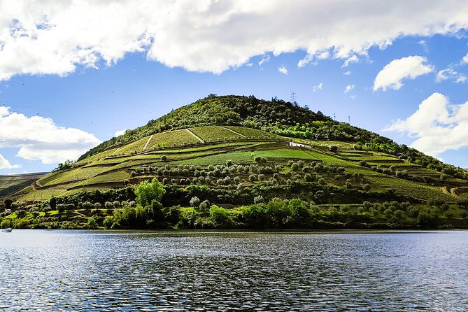 Douro | Roots & History - Tour with a local - Key highlights you’ll remember
