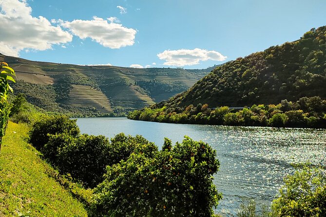 Douro | Roots & History - Tour with a local - A full Douro day, stitched together by real people