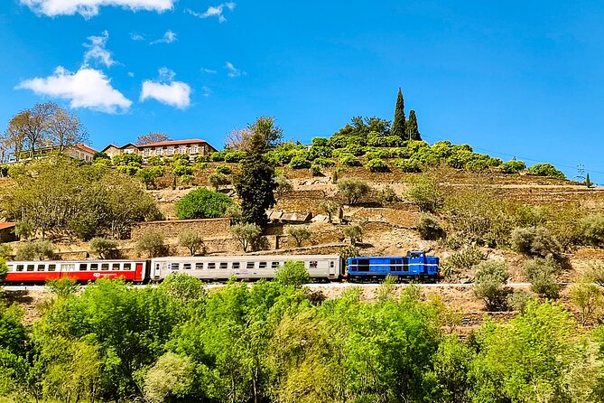 Douro | Roots & History - Tour with a local - First winery tasting near Pinhão: 4 wines and a view from a quinta