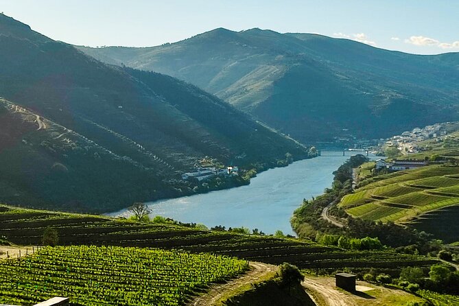 Douro | Roots & History - Tour with a local - Roadside Douro views and history on the way home