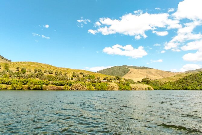 Douro | Roots & History - Tour with a local - Centro Interpretativo and the family home lunch
