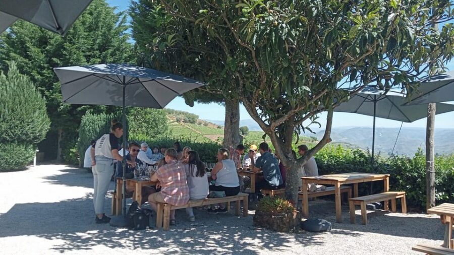 Douro Tour with Wine Tasting and Visit to Lamego and Pinhão - Key Highlights to Look Forward To