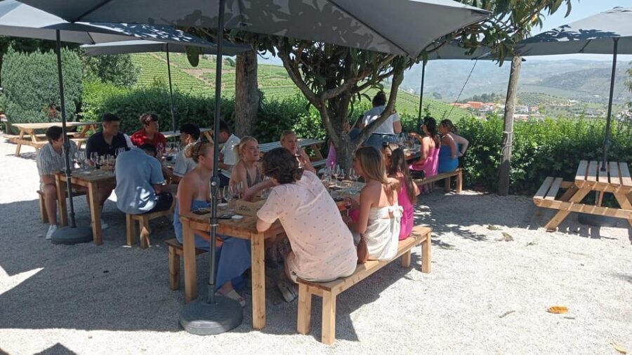 Douro Tour with Wine Tasting and Visit to Lamego and Pinhão - Family Vineyard Wine Tasting With Douro and Port