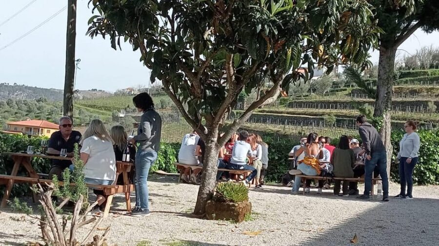 Douro Tour with Wine Tasting and Visit to Lamego and Pinhão - UNESCO View Stops on the Way to Lamego