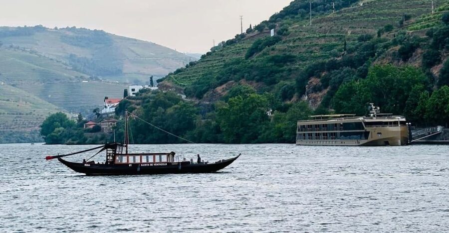 Douro Valley: 4 Cities, Wine&History - Private All-Inclusive - Four towns, one rhythm: why this Douro loop feels efficient