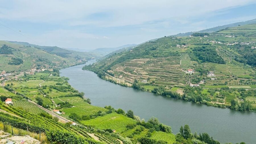 Douro Valley: 4 Cities, Wine&History - Private All-Inclusive - Peso da Régua and Pinhão: vineyard views with photo time that you actually use