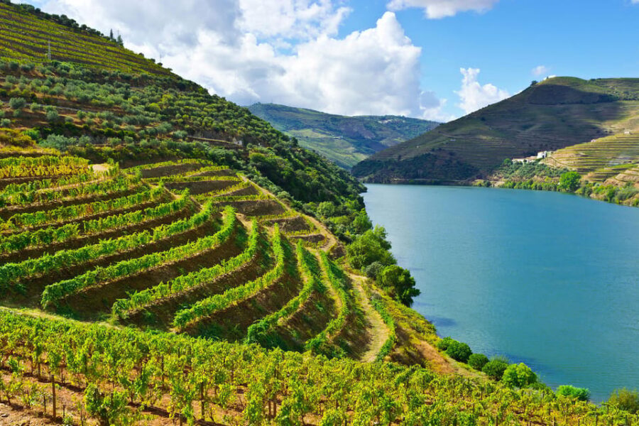 Douro Valley & Amarante - from Porto, Braga or Guimarães - Key things to know before you go