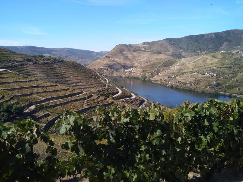 Douro Valley & Amarante - from Porto, Braga or Guimarães - Entering the Douro: what makes this day trip work