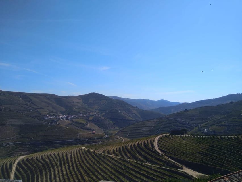 Douro Valley & Amarante - from Porto, Braga or Guimarães - Getting there: pickup in Porto, Braga, or Guimarães