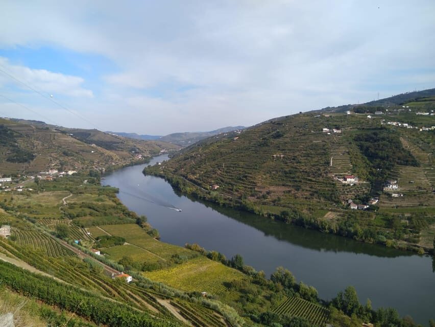 Douro Valley & Amarante - from Porto, Braga or Guimarães - Peso da Régua: the Douro’s “explain it” moment