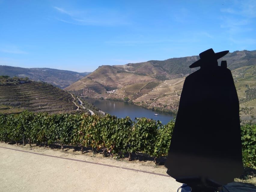 Douro Valley & Amarante - from Porto, Braga or Guimarães - Meet, Tasting, or Premium Douro: choose your wine day