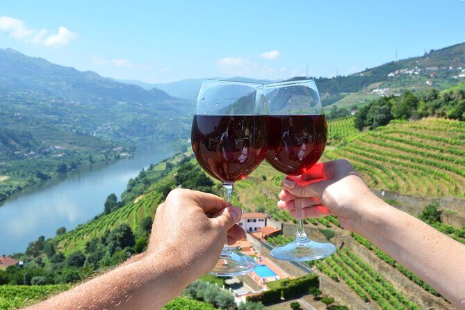 Douro Valley Delights Wine Tasting and Scenic Vistas - Key highlights you’ll actually care about