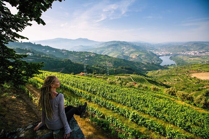 Douro Valley Delights Wine Tasting and Scenic Vistas - Porto to Douro: starting in the right city, then getting out fast