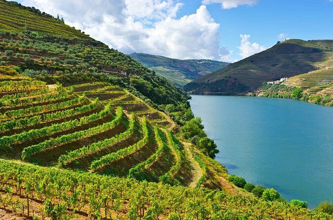 Douro Valley Delights Wine Tasting and Scenic Vistas - Comfort, timing, and why this is a good private-group format