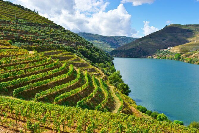Douro Valley Delights Wine Tasting and Scenic Vistas - Price value: what $688.09 per person really buys you