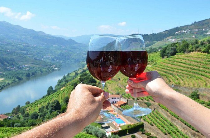 Douro Valley Delights Wine Tasting and Scenic Vistas - Who this Douro Valley day trip suits best
