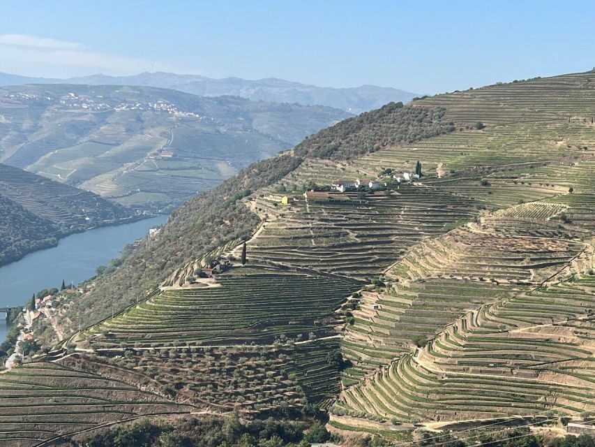 Douro Valley-Expert Guide-Boat-Lunch-Tastings PremiumService - Timing and pacing: a full day that still gives you moments