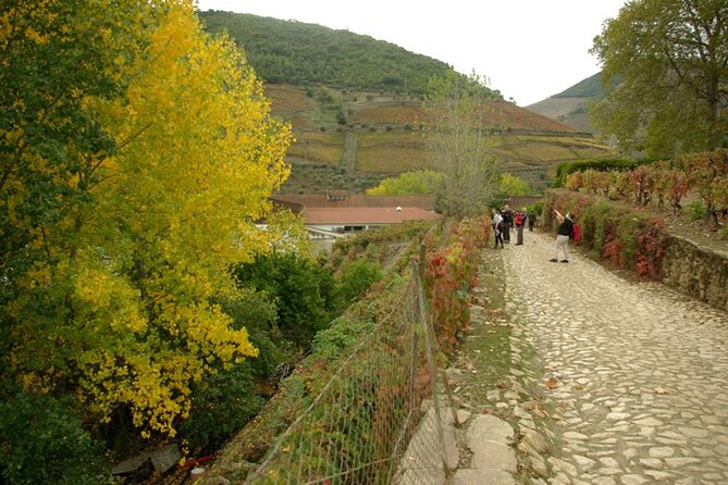 Douro Valley: From Casal de Loivos to Pinhão Walk and Wine Tour - The walking-and-wine flow: what the day feels like