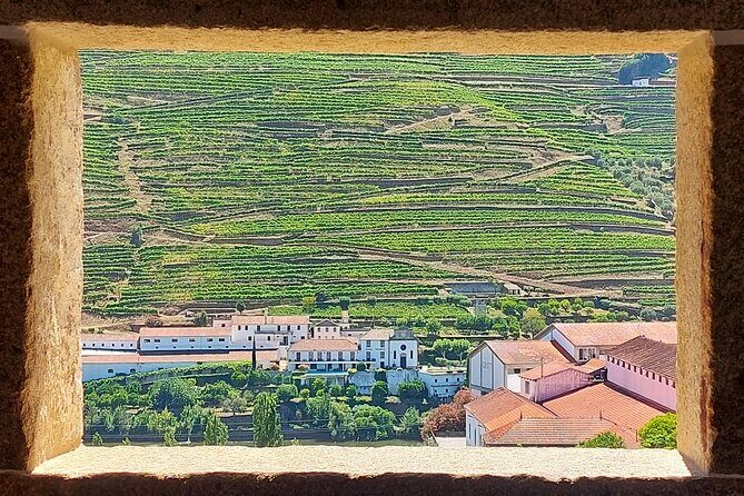 Douro Valley Full Day Tour with River Cruise and Wine Tastings - The big wine lesson: two estates and all the tasting variety